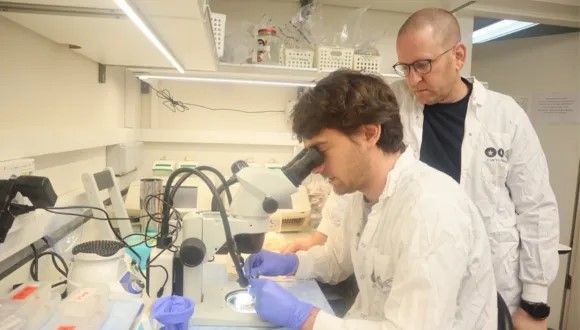 Dr. Gilad Levy (seated) & Prof. Boaz Barak.