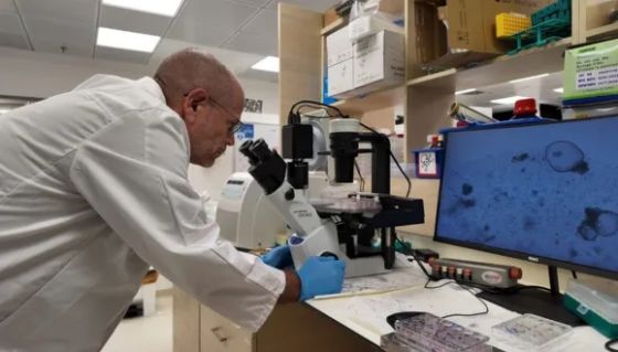 Prof. Benjamin Dekel, Director of the Sagol Center for Regenerative Medicine at Tel Aviv University and Director of the pediatric nephrology unit and the Stem Cell Research Institute at the Safra Children's Hospital at Sheba Medical Center